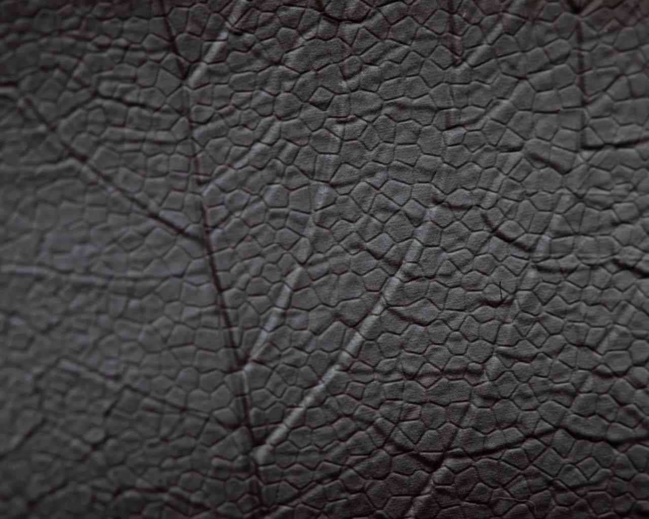 charmilles-leaf-nano-femto-texture-2H4A9643